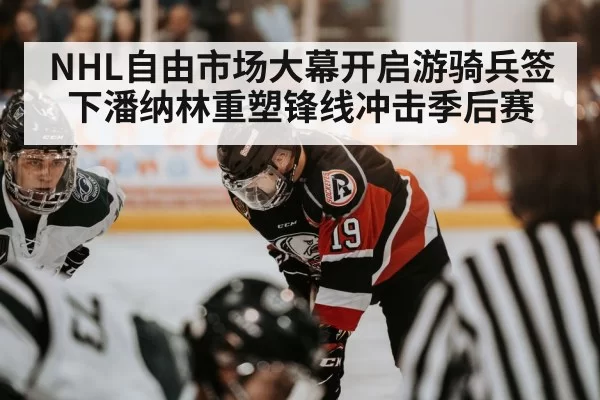 NHL自由市场大幕开启游骑兵签下潘纳林重塑锋线冲击季后赛