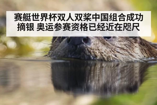 赛艇世界杯双人双桨中国组合成功摘银 奥运参赛资格已经近在咫尺
