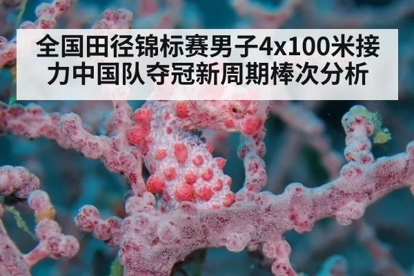全国田径锦标赛男子4x100米接力中国队夺冠新周期棒次分析